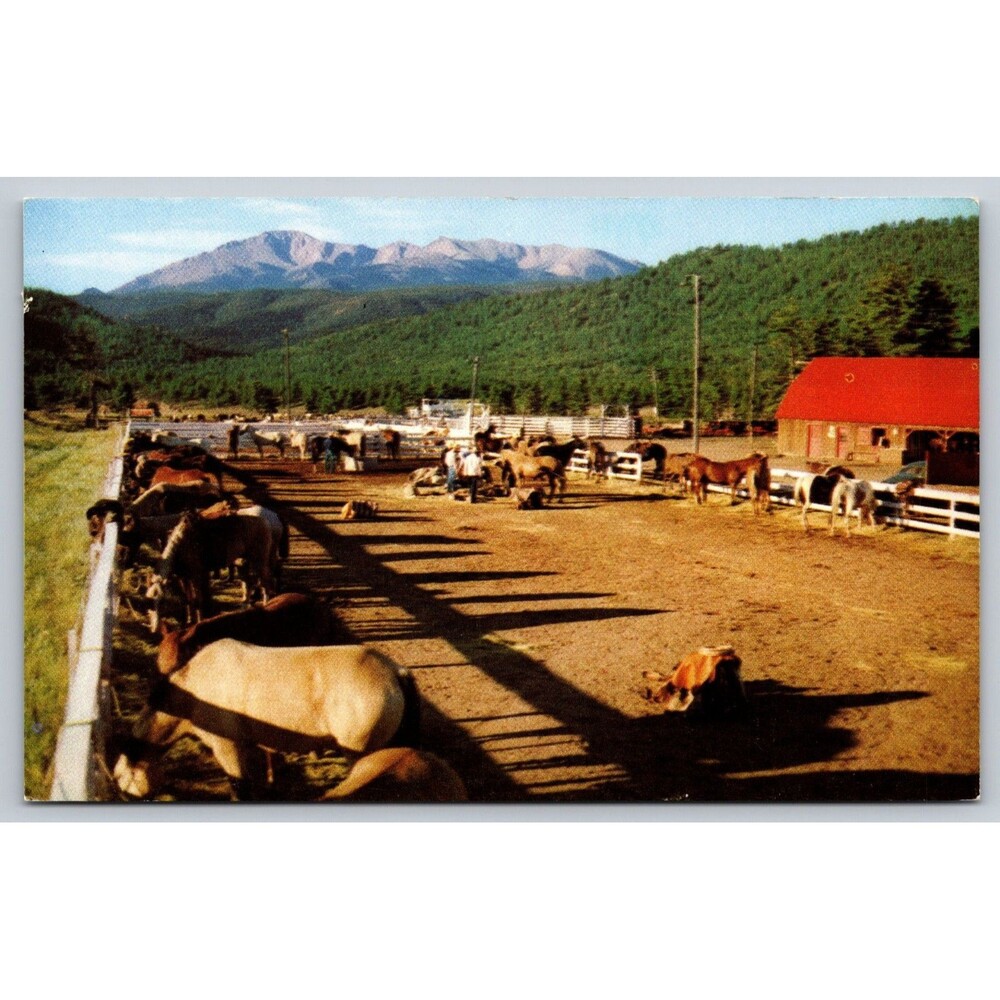 Vintage Postcard Pikes Peak Colorado Horse Corral Mountain View Unused Branding